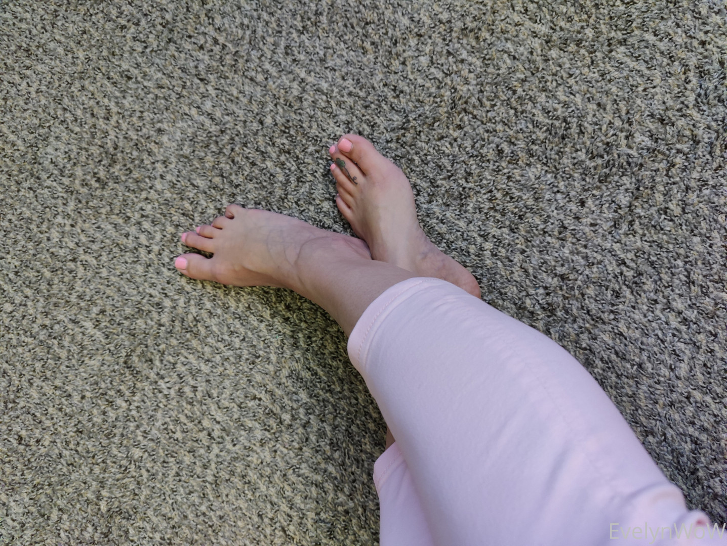 Photo by evelynwow published on June 19,2023 21:16:13 - BestThots