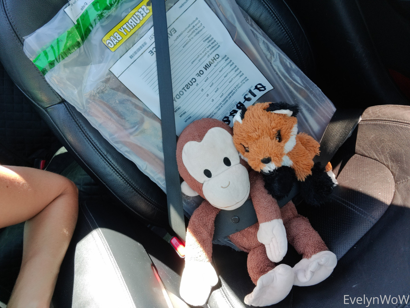 Photo by evelynwow published on June 19,2023 21:25:34 - BestThots