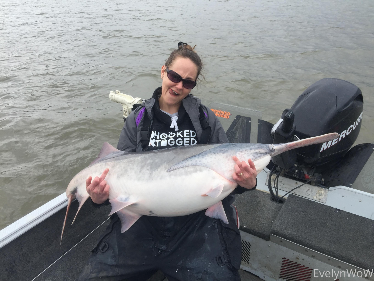 Photo by evelynwow published on June 19,2023 21:32:02 - BestThots