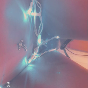 cloudyvi_ #6486088