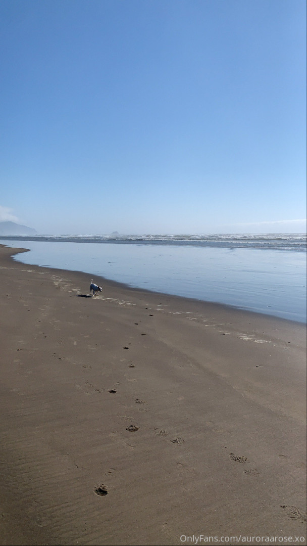 Photo by auroraarose.xo published on May 30,2023 20:38:11 - BestThots