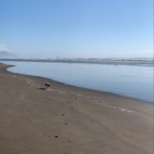 auroraarose.xo #979709