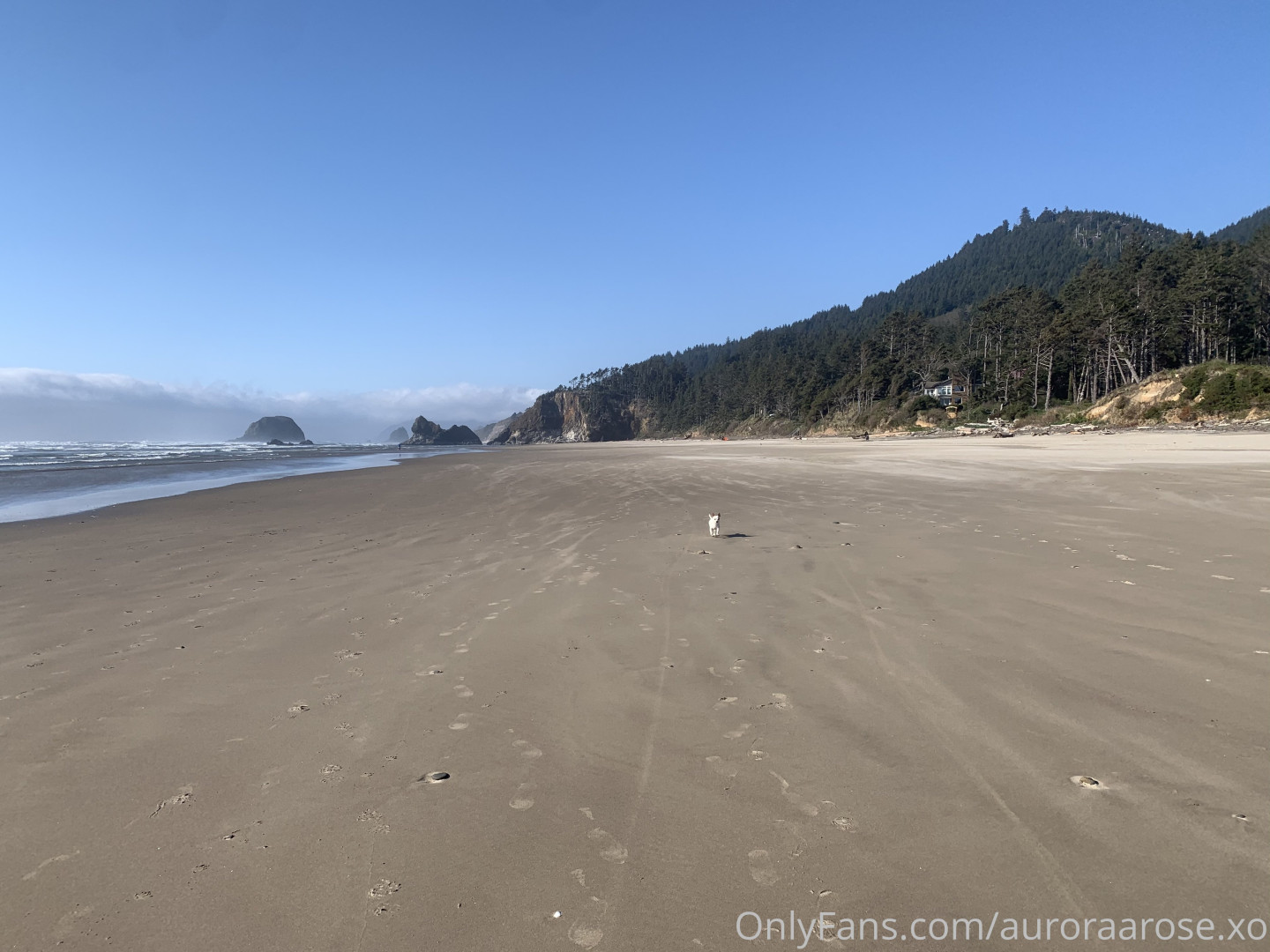 Photo by auroraarose.xo published on May 30,2023 20:38:16 - BestThots