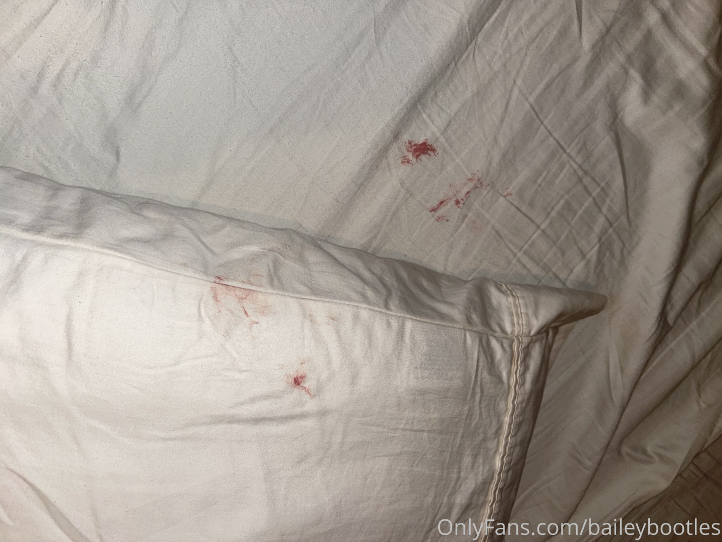 Photo by baileybootles published on August 6,2023 12:30:31 - BestThots