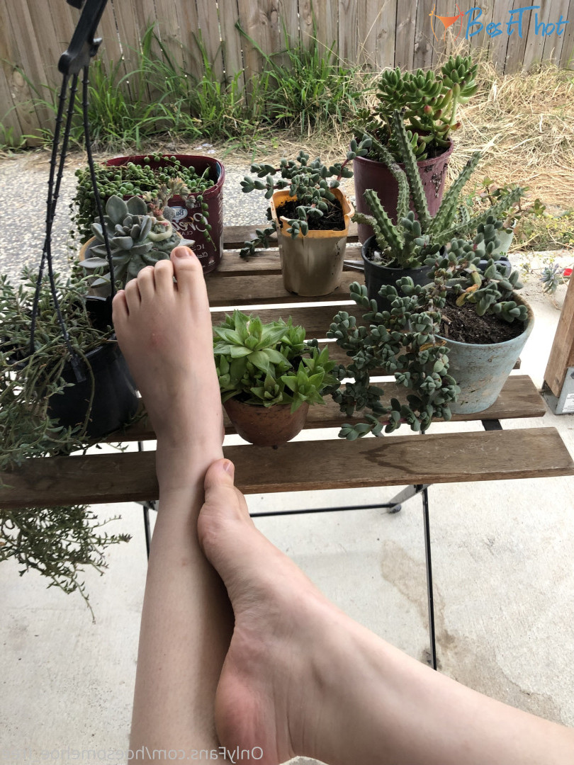 Photo by melissa_cho_chang_free published on December 12,2024 10:07:29 - BestThots