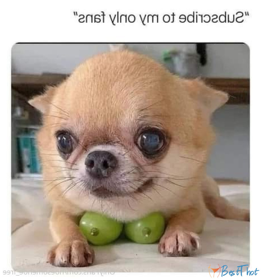 Photo by melissa_cho_chang_free published on December 12,2024 10:07:35 - BestThots