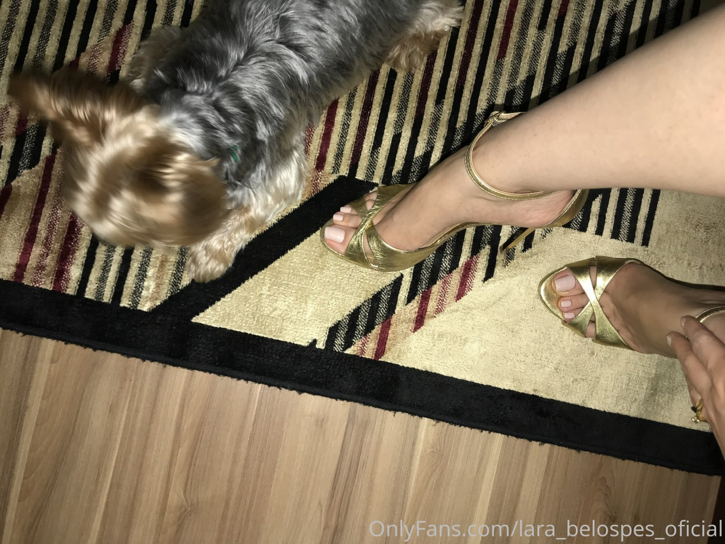 Photo by lara_belospes_oficial published on June 16,2023 19:25:02 - BestThots
