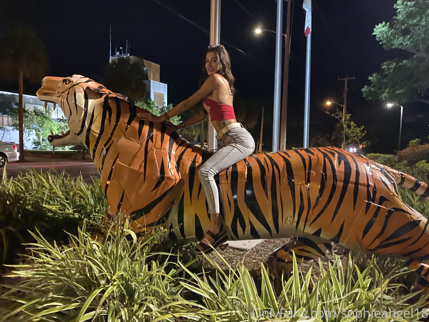 Photo by sophisummers published on October 17,2023 04:16:59 - BestThots