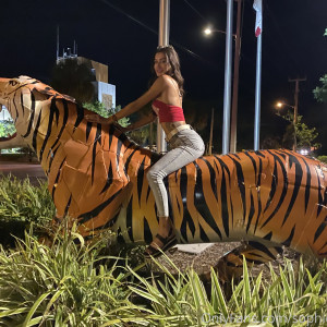 sophisummers #7595872