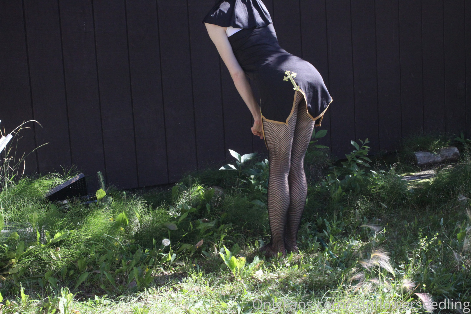 Photo by sunflowerseedling published on June 22,2023 14:56:22 - BestThots
