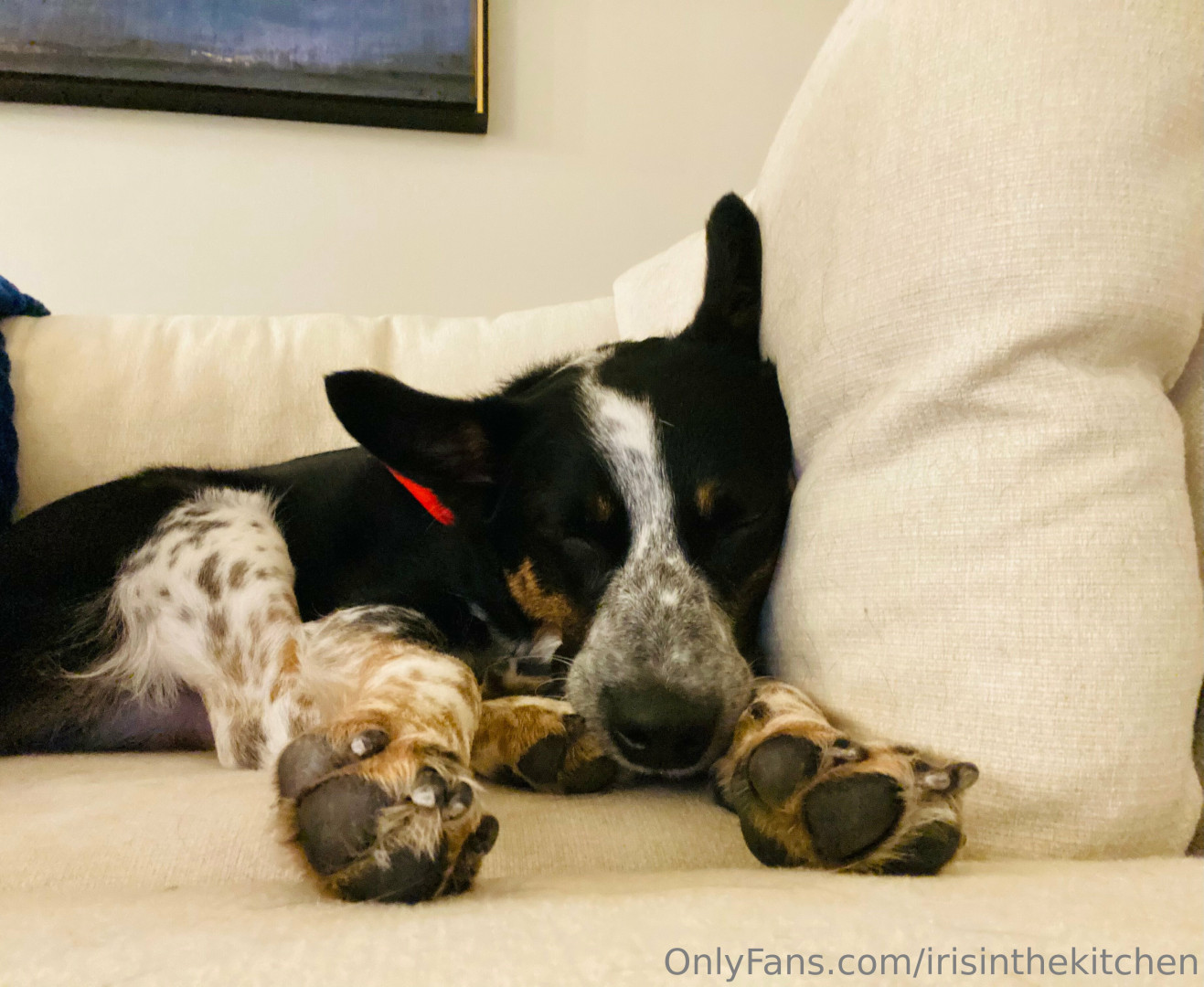 Photo by irisinthekitchen published on October 16,2023 01:07:19 - BestThots