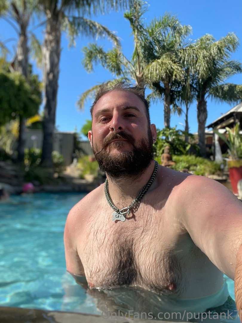 Photo by puptank7 published on June 6,2023 02:31:58 - BestThots