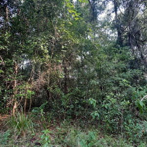 ravergirl009 #269773