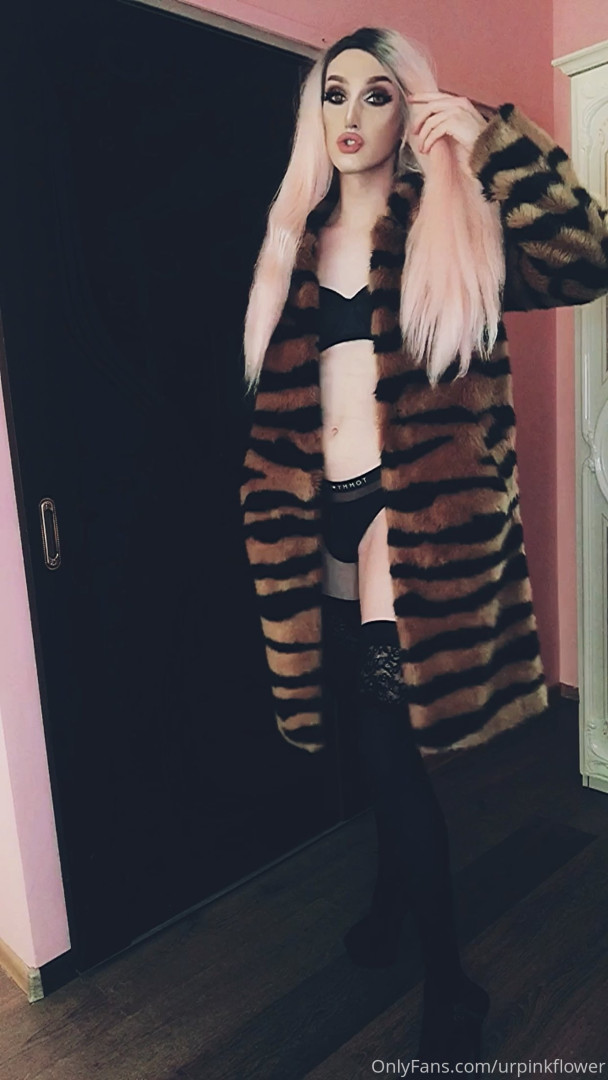 Photo by urpinkflower published on October 11,2023 02:12:12 - BestThots