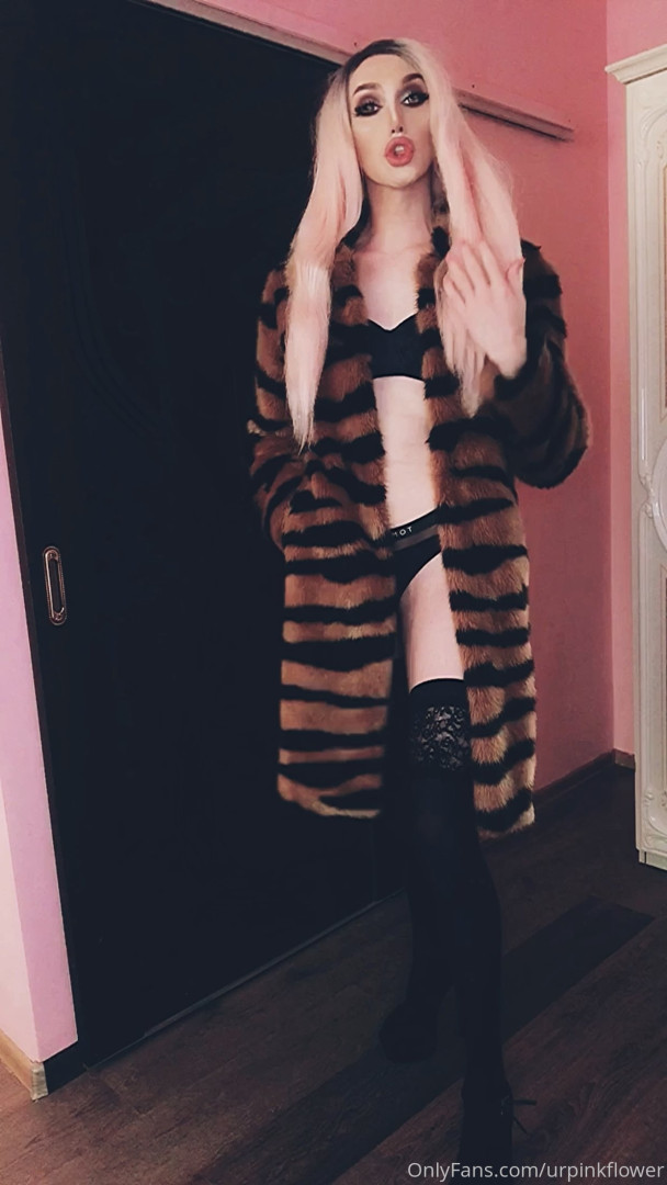 Photo by urpinkflower published on October 11,2023 02:43:54 - BestThots