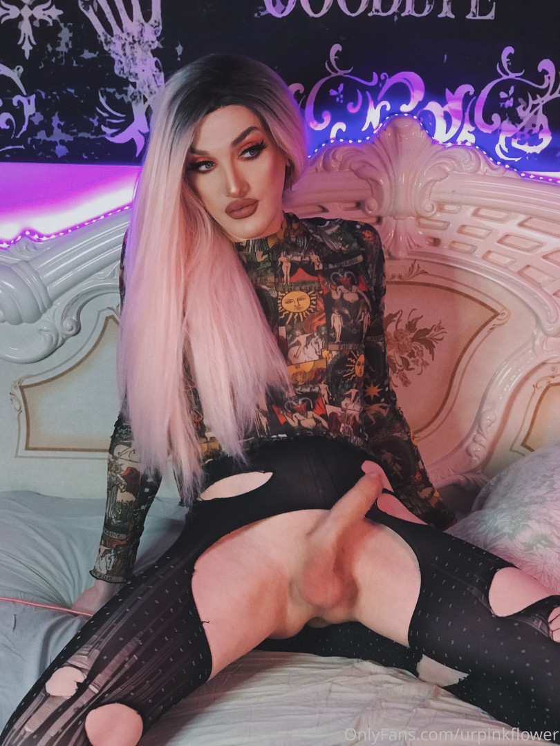 Photo by urpinkflower published on October 11,2023 04:08:27 - BestThots