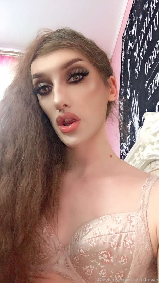 Photo by urpinkflower published on October 11,2023 04:40:09 - BestThots