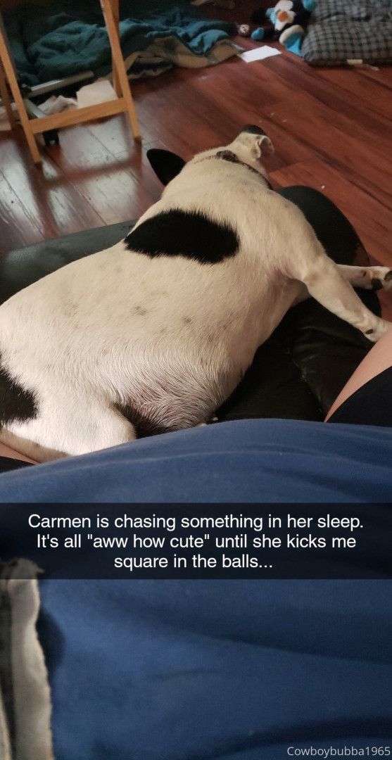 Photo by cowboybubba published on May 28,2023 18:51:20 - BestThots