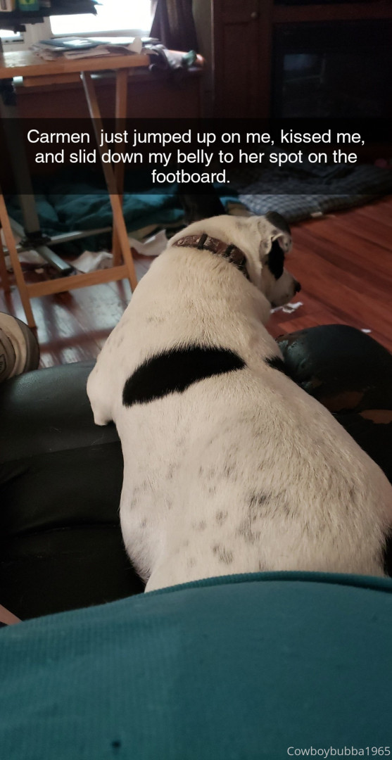 Photo by cowboybubba published on May 28,2023 18:51:44 - BestThots