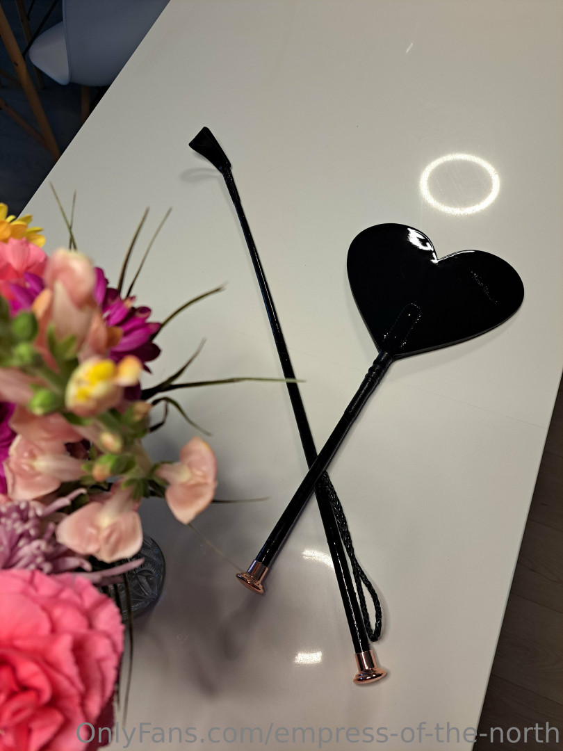 Photo by empress-of-the-north published on May 27,2023 16:48:14 - BestThots