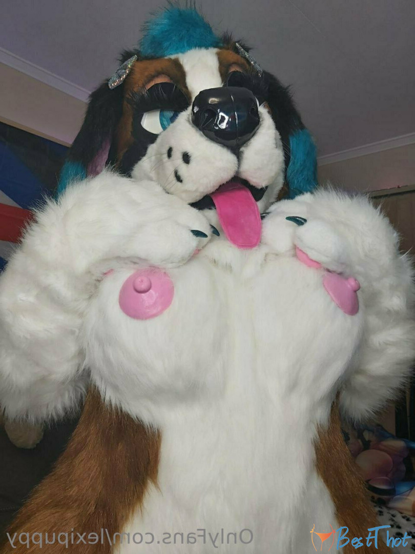 Photo by lexipuppy published on December 14,2024 05:04:36 - BestThots