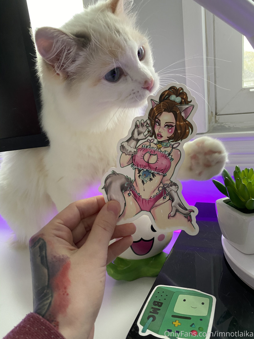 Photo by sleepylaika published on August 5,2023 09:20:02 - BestThots