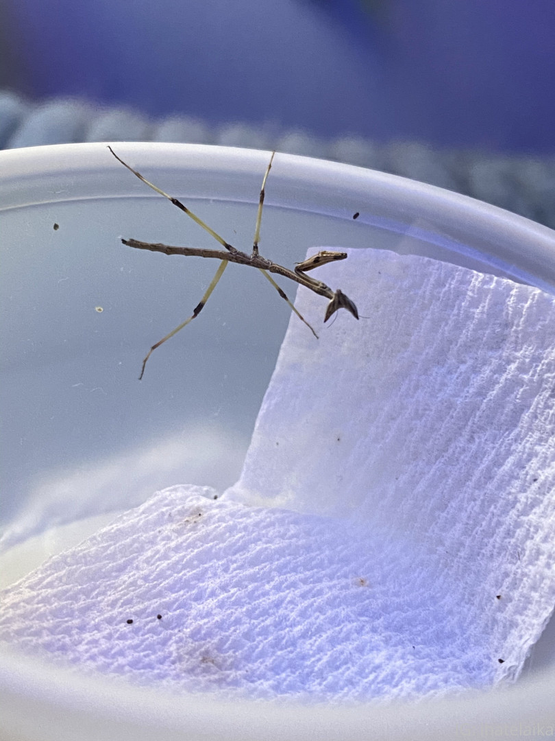 Photo by sleepylaika published on August 5,2023 09:56:02 - BestThots