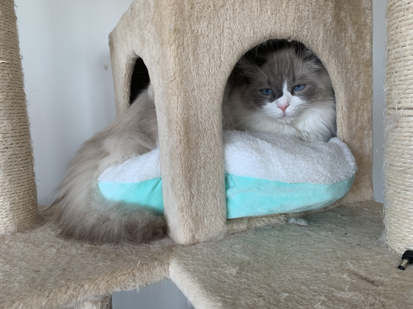 Photo by sleepylaika published on August 5,2023 09:58:03 - BestThots