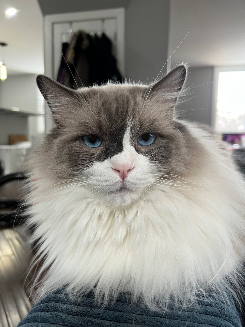 Photo by sleepylaika published on August 5,2023 09:58:32 - BestThots