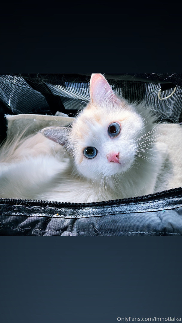 Photo by sleepylaika published on August 5,2023 10:05:15 - BestThots