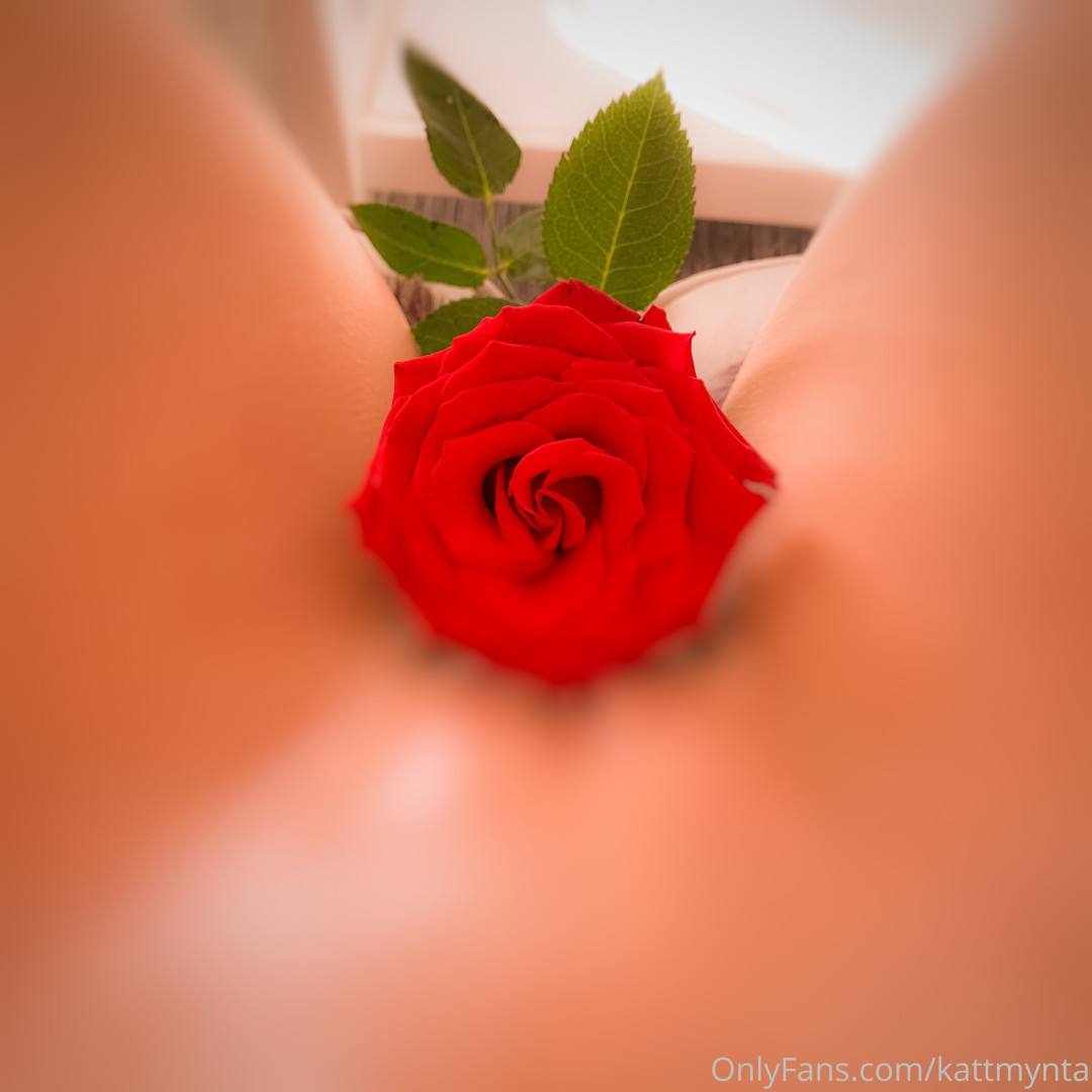 Photo by kattmynta published on June 8,2023 09:48:20 - BestThots