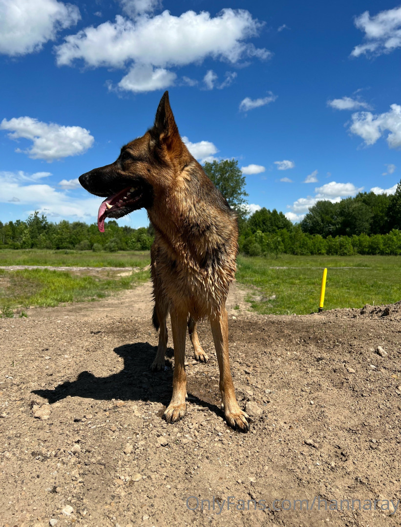 Photo by hannaray published on June 9,2023 06:05:02 - BestThots