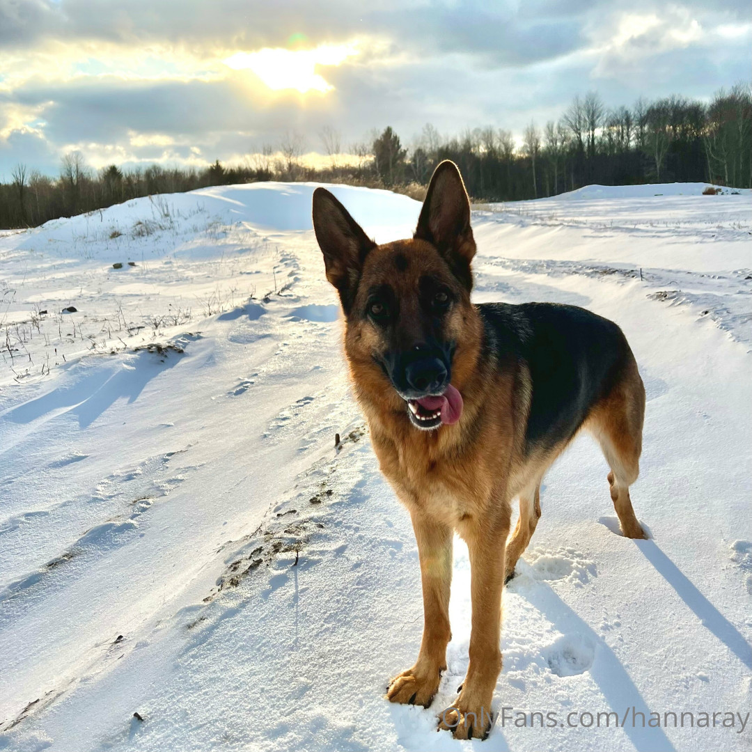 Photo by hannaray published on June 9,2023 06:08:55 - BestThots