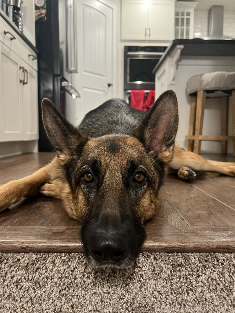 Photo by hannaray published on June 9,2023 06:18:25 - BestThots