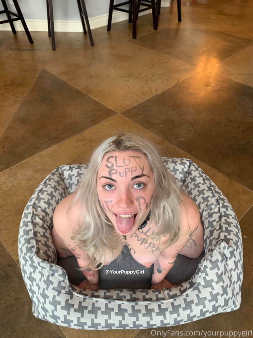 Photo by yourpuppygirl published on October 16,2023 01:37:01 - BestThots