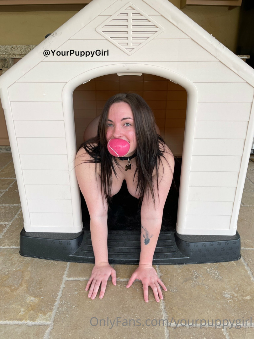 Photo by yourpuppygirl published on October 16,2023 02:22:38 - BestThots