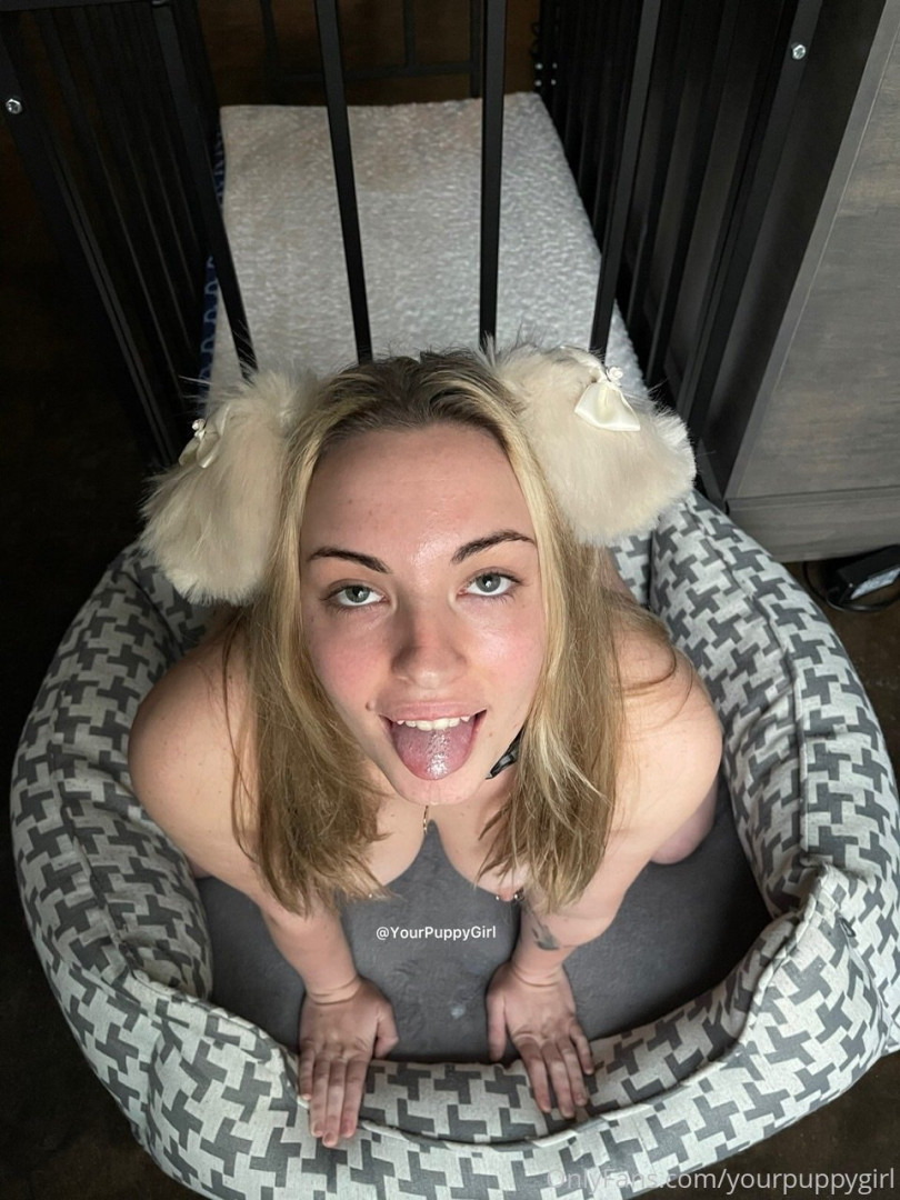 Photo by yourpuppygirl published on October 16,2023 03:01:24 - BestThots