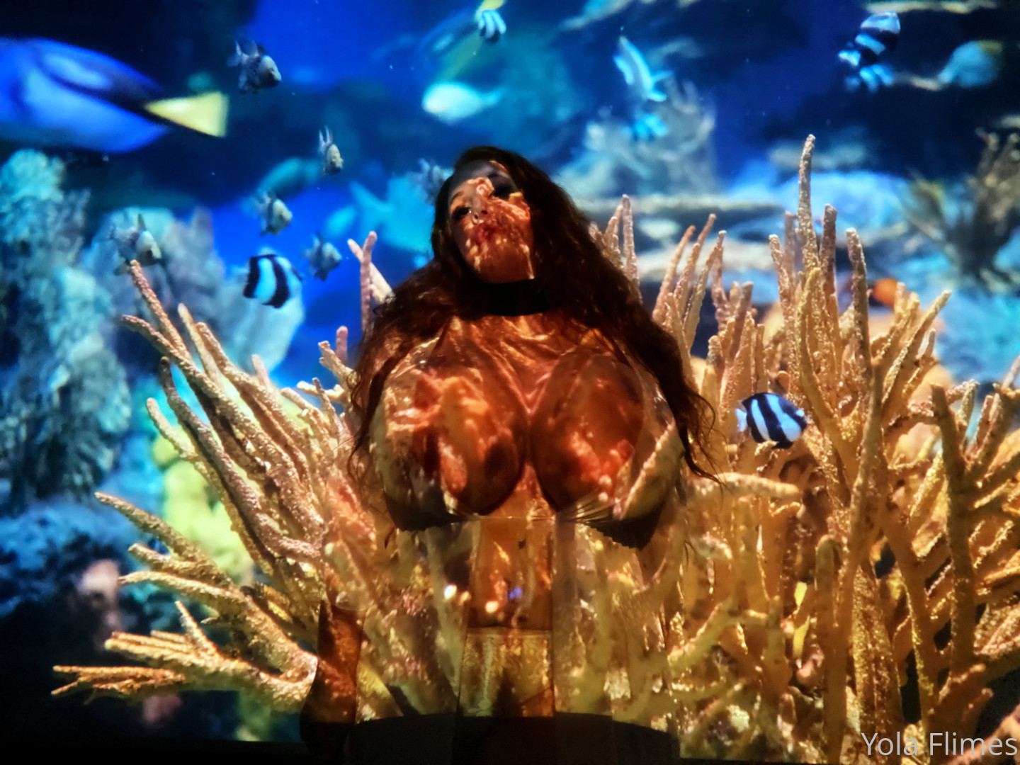 Photo by yolaflimes published on May 15,2023 19:21:48 - BestThots