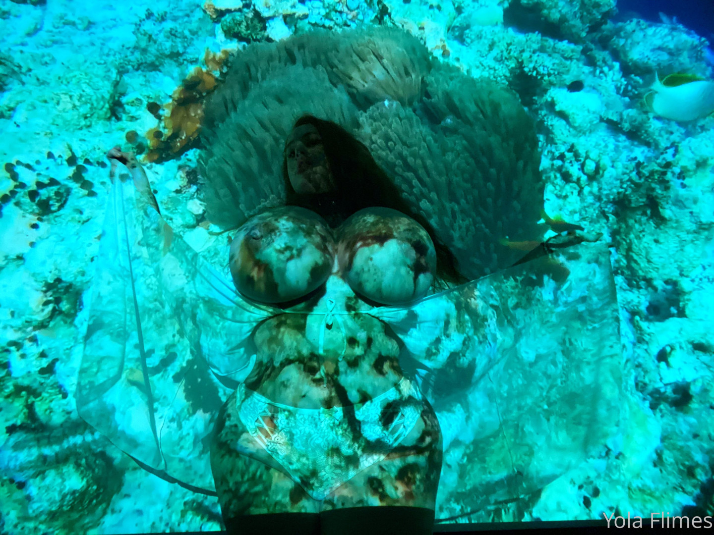 Photo by yolaflimes published on May 15,2023 19:23:55 - BestThots