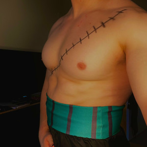 majorpectoralis #2344896