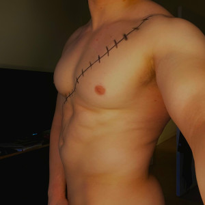majorpectoralis #2344897