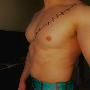 majorpectoralis #2344901