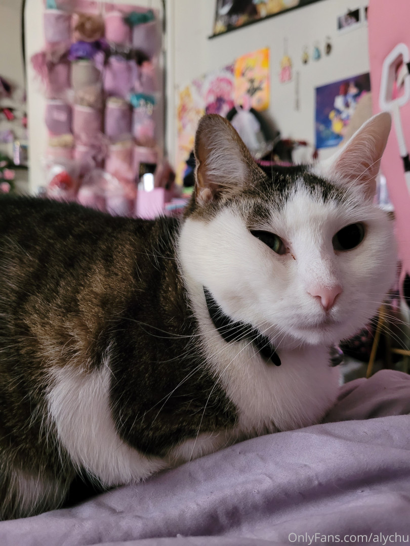 Photo by alychu published on October 16,2023 04:43:09 - BestThots