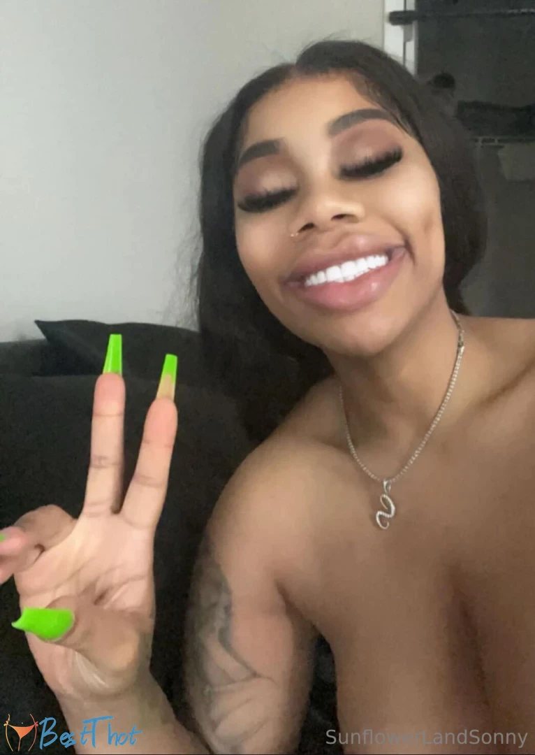 sunflowerland #9795817