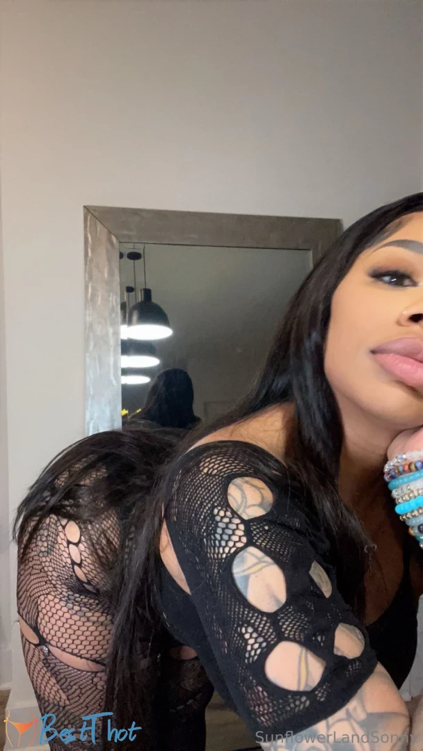 sunflowerland #9795892