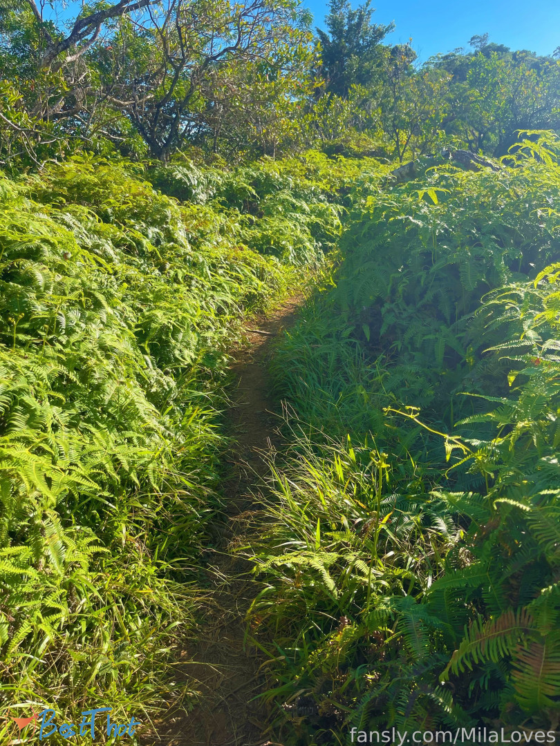 Photo by milaloves published on January 27,2025 03:03:09 - BestThots