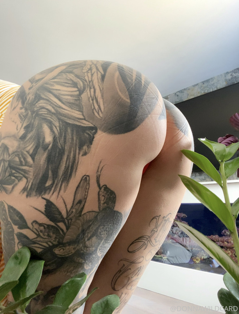 Photo by wildcard666 published on June 30,2023 14:35:24 - BestThots