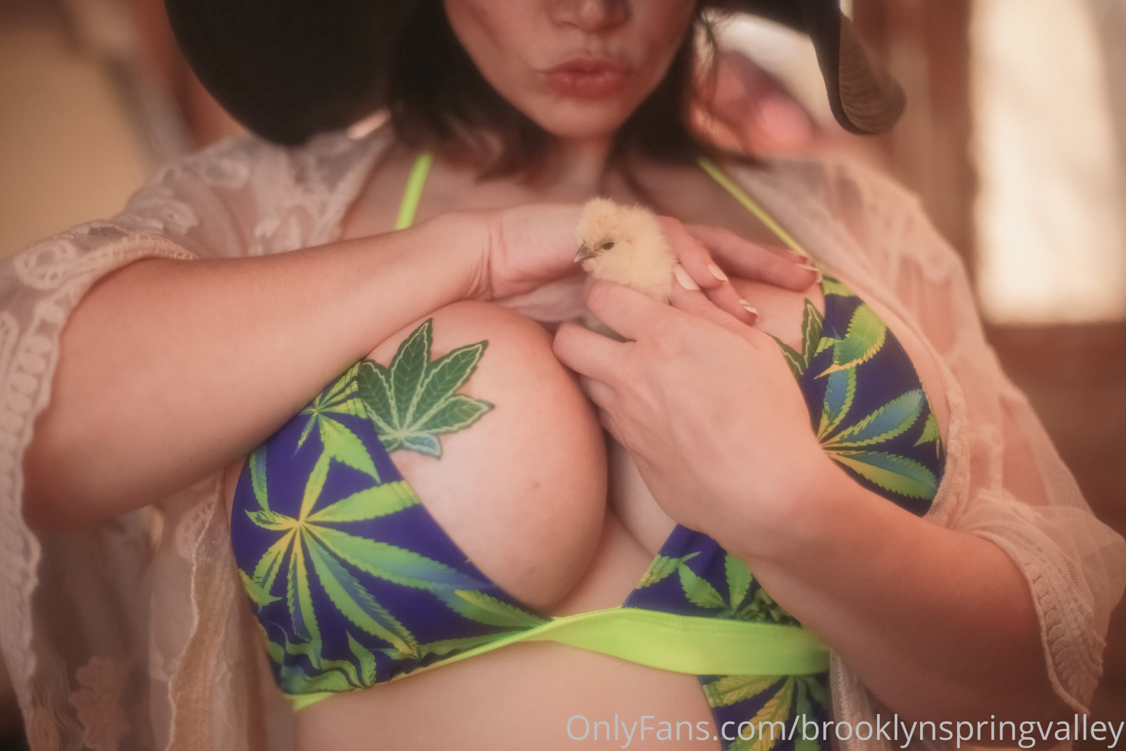 Photo by brooklynspringvalley published on October 17,2023 03:53:57 - BestThots
