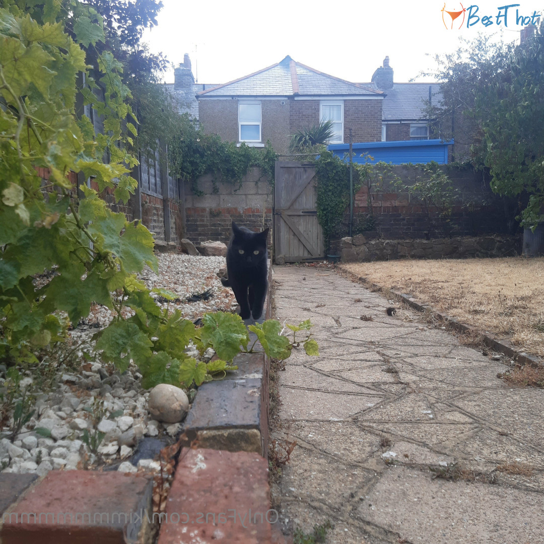 Photo by kimmmmmmm published on December 10,2024 17:12:10 - BestThots