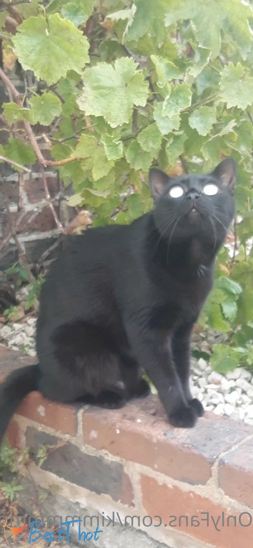 Photo by kimmmmmmm published on December 10,2024 17:13:58 - BestThots